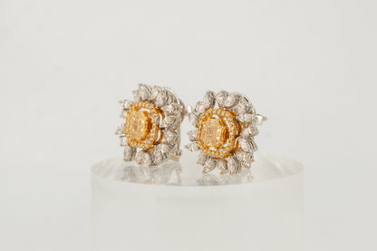 Golden Halo Diamond Studs
